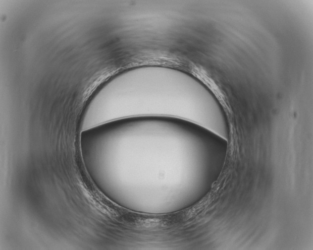 X0000087390058200704200938