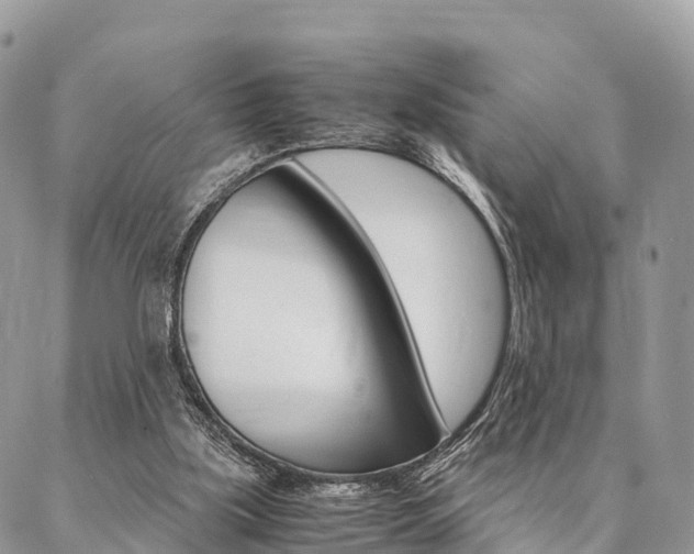 X0000087390059200704200938