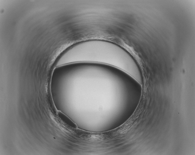 X0000087390060200704200938