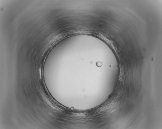 X0000087390061200704200938