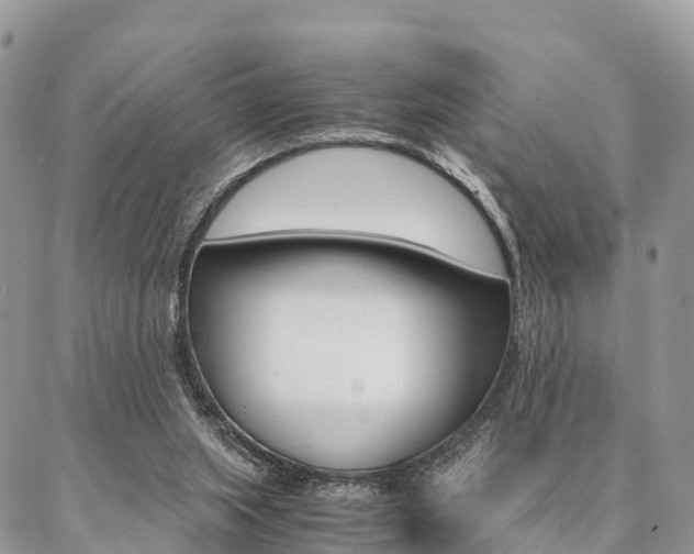 X0000087390063200704200938