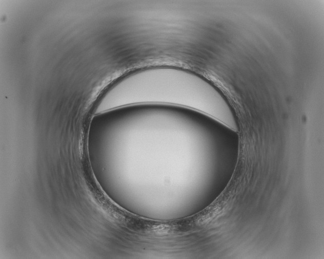 X0000087390064200704200938