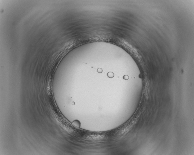 X0000087390065200704200938