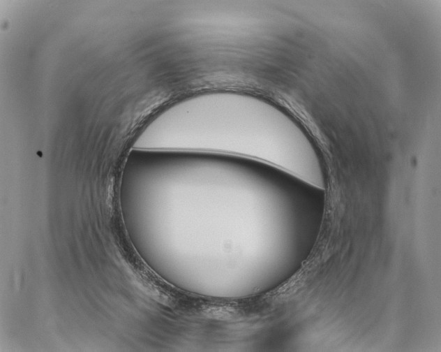 X0000087390066200704200938