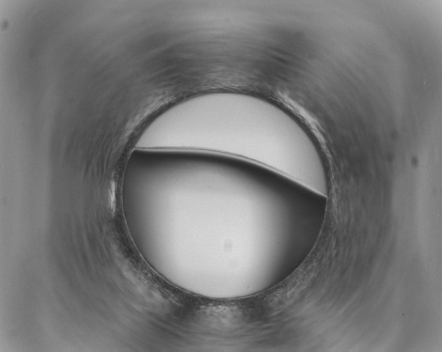 X0000087390067200704200938