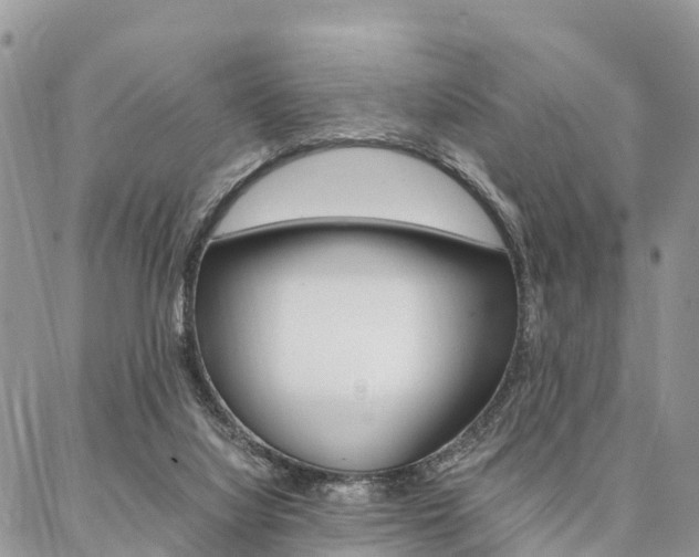 X0000087390068200704200938