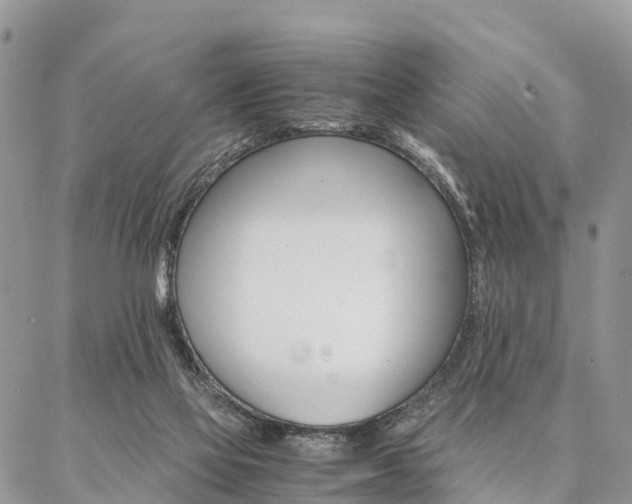 X0000087390069200704200938