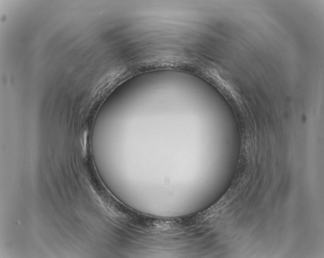 X0000087390070200704200938