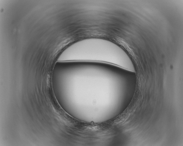 X0000087390071200704200938