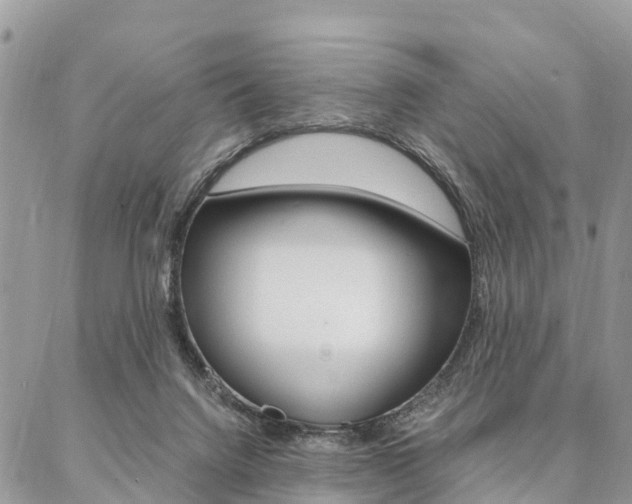 X0000087390072200704200938