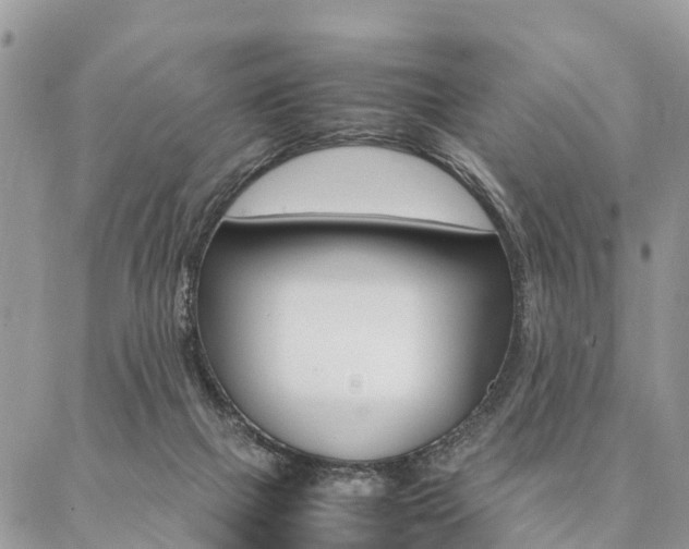 X0000087390073200704200938