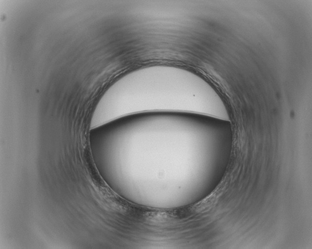 X0000087390074200704200938