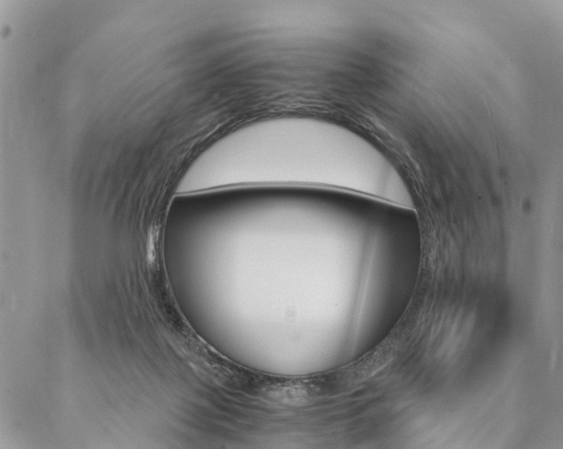 X0000087390075200704200938