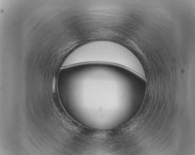 X0000087390076200704200938