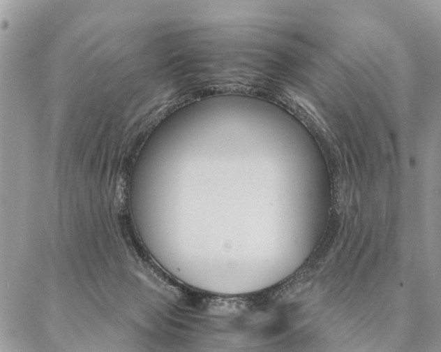 X0000087390077200704200938