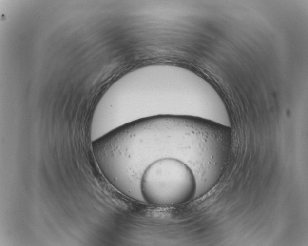 X0000087390078200704200938