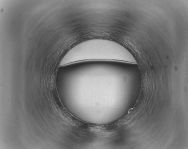 X0000087390079200704200938