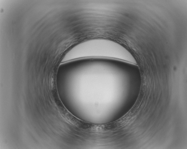 X0000087390080200704200938