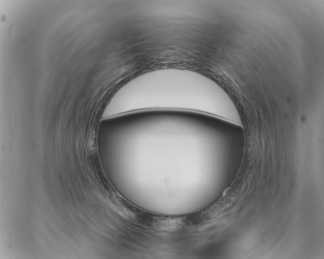 X0000087390081200704200938