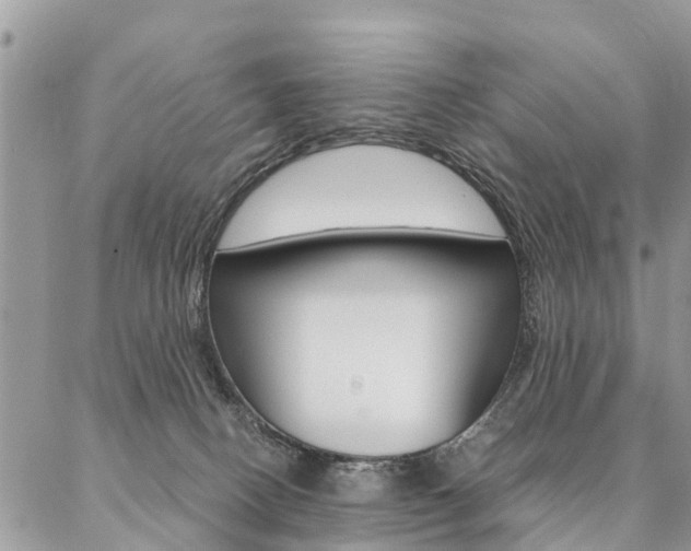 X0000087390082200704200938