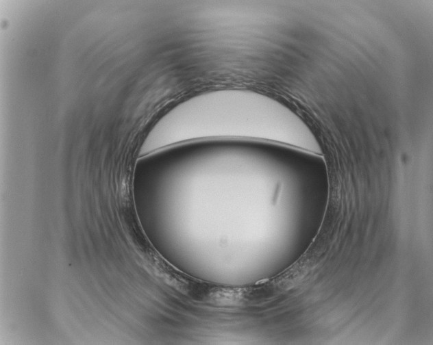 X0000087390084200704200938