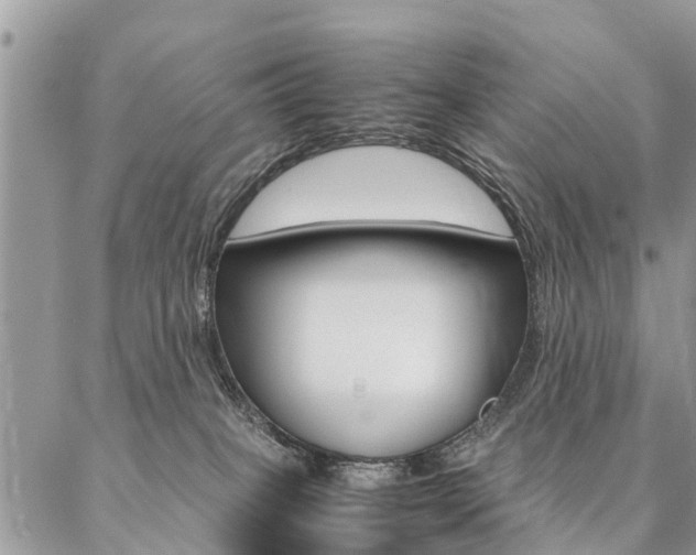 X0000087390085200704200938