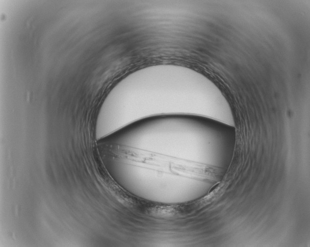 X0000087390086200704200938