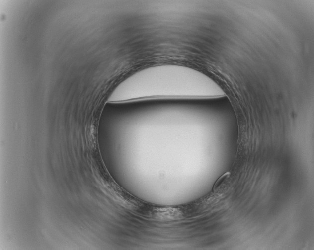 X0000087390087200704200938