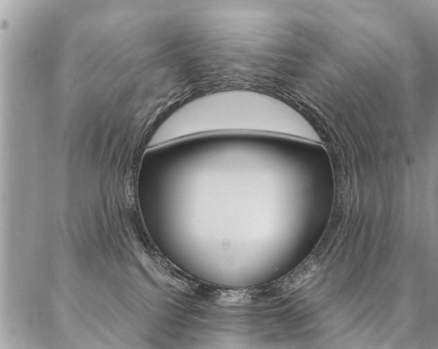 X0000087390088200704200938