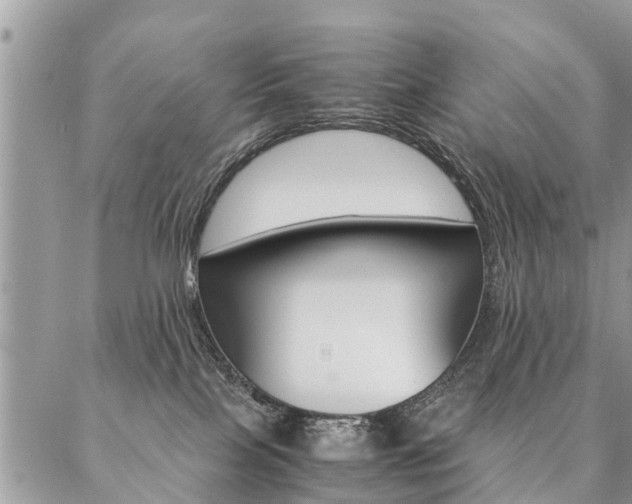 X0000087390089200704200938