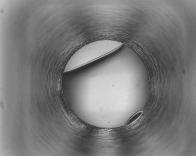 X0000087390090200704200938