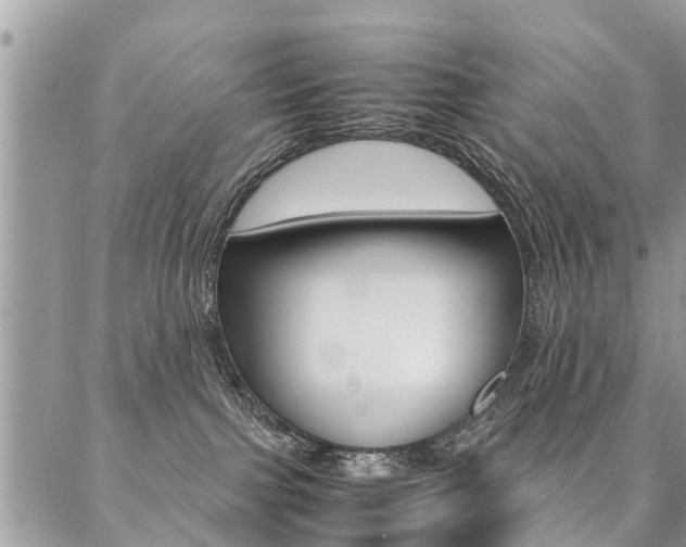 X0000087390091200704200938