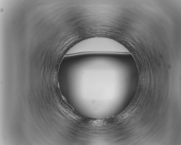 X0000087390092200704200938