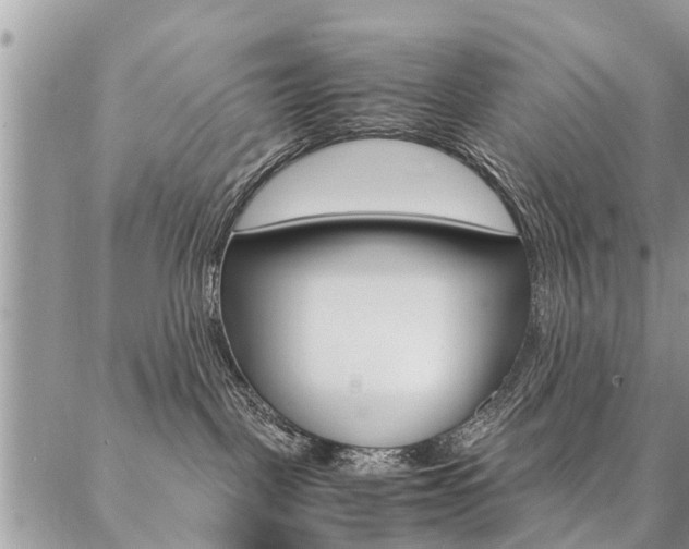 X0000087390093200704200938