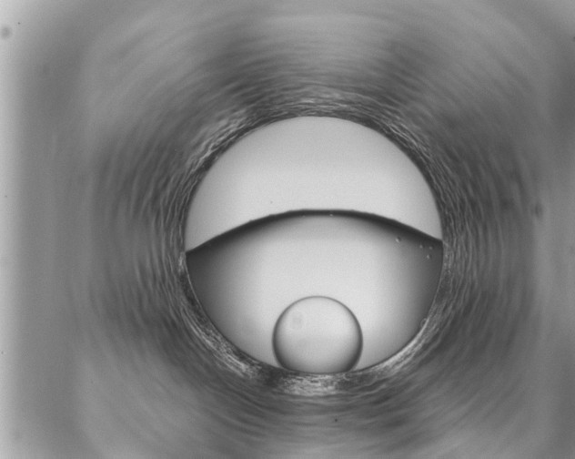 X0000087390094200704200938