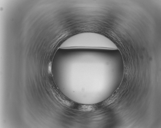 X0000087390095200704200938