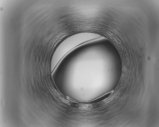 X0000087390096200704200939