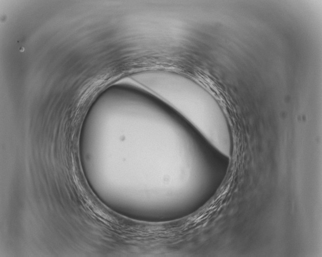 X0000087390097200704200938