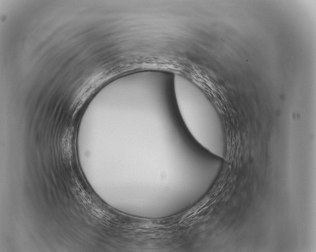 X0000087390098200704200938