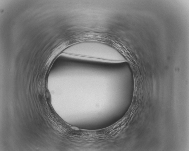 X0000087390099200704200938