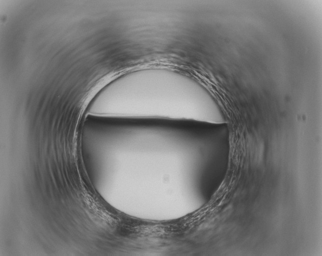 X0000087390100200704200938