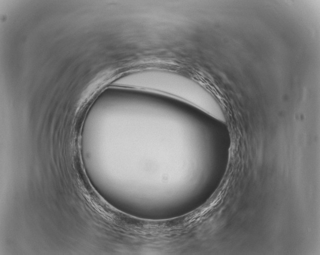 X0000087390101200704200938