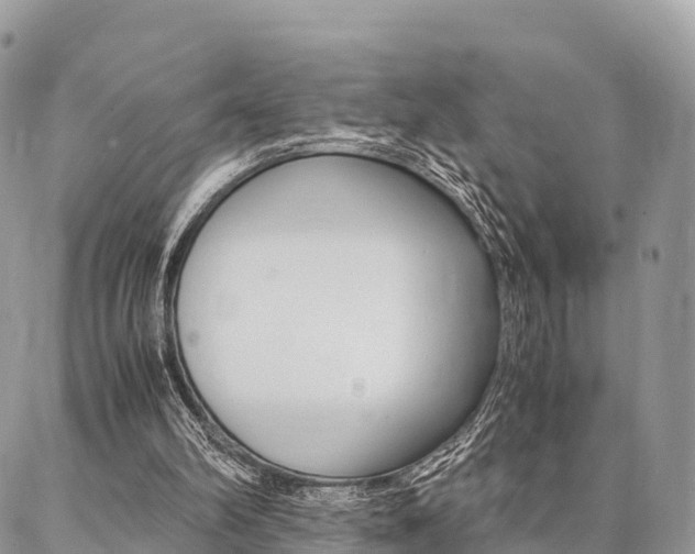 X0000087390102200704200938