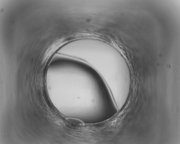 X0000087390103200704200938