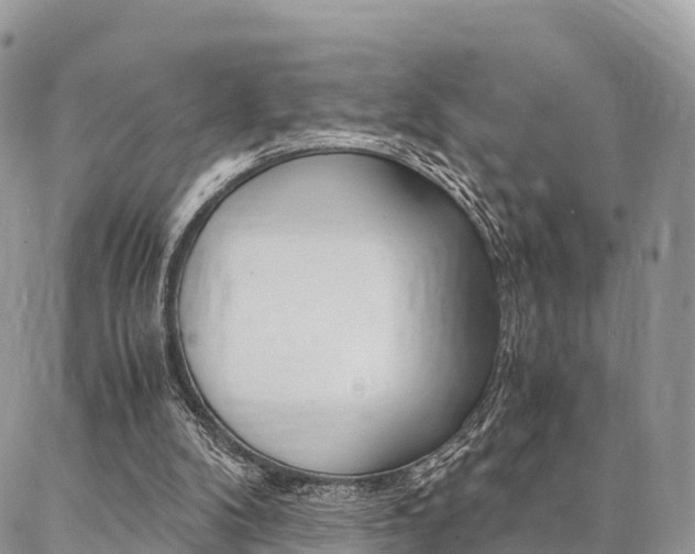 X0000087390104200704200938