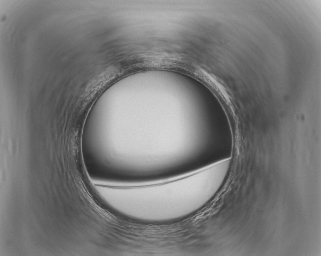 X0000087390105200704200938