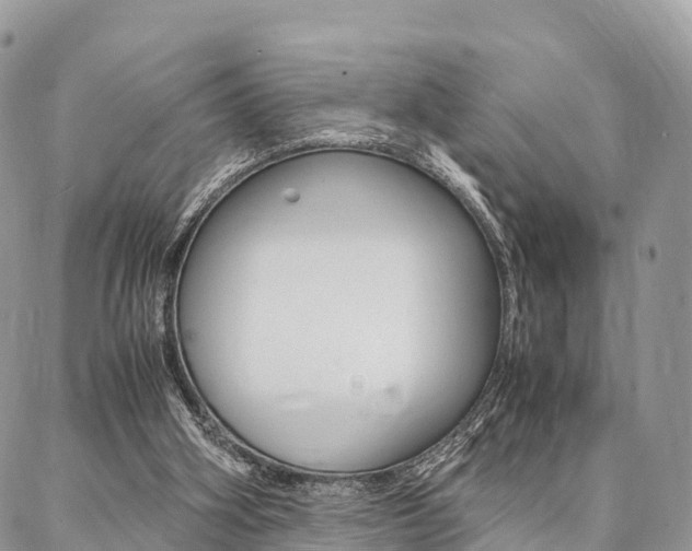 X0000087390106200704200938