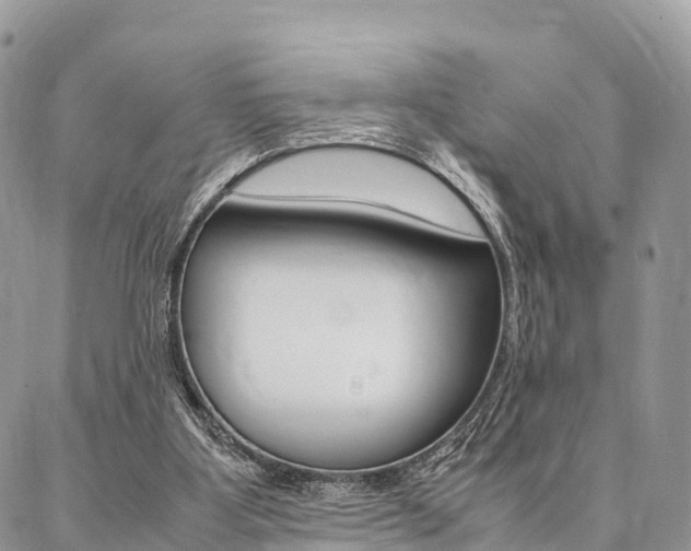 X0000087390107200704200938