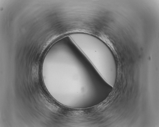 X0000087390108200704200938