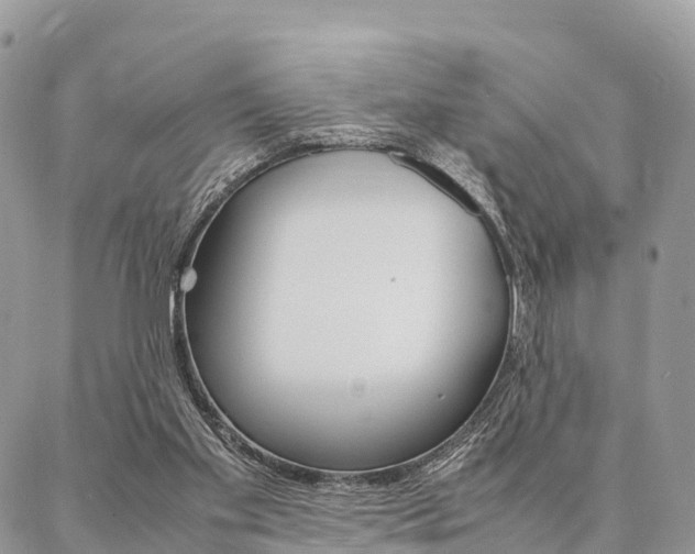 X0000087390109200704200938